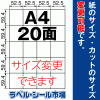ラベルシール A4 縦20面